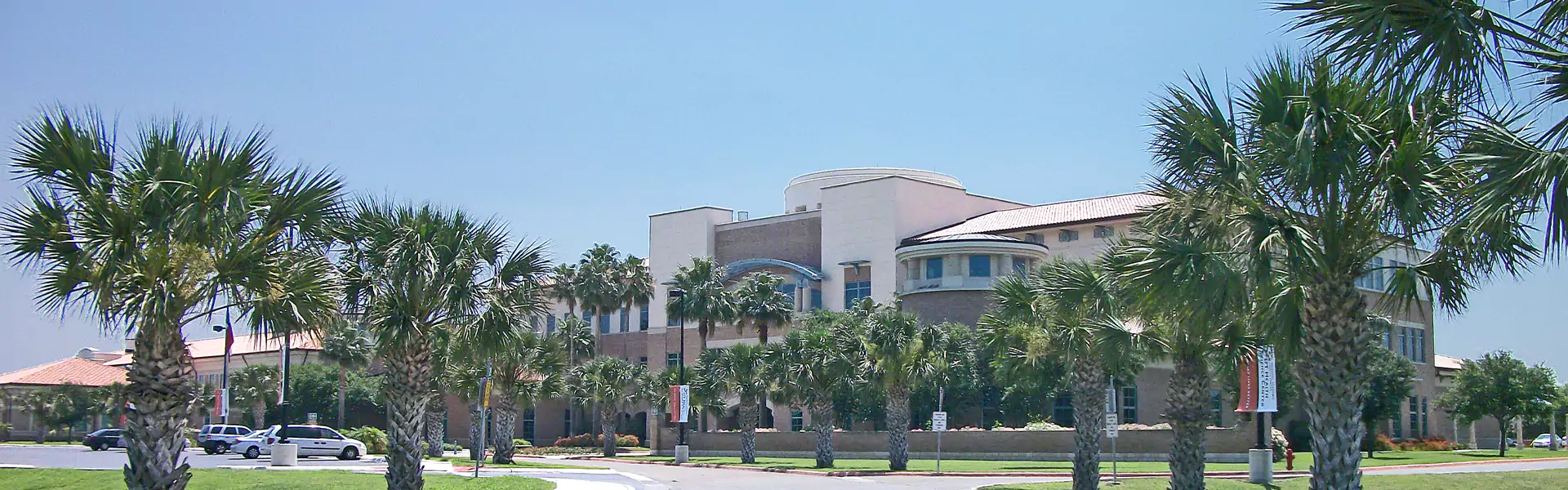 Modern building surrounded by palm trees